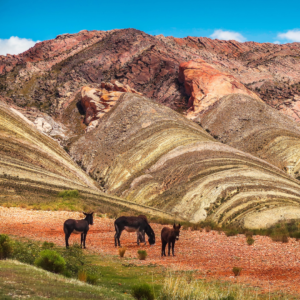 Jujuy y Humahuaca Feriado Octubre