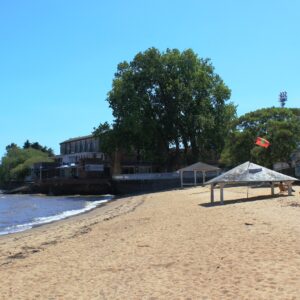 Colonia Día de Playa