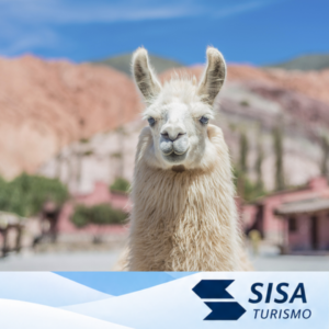 Jujuy y Humahuaca Vacaciones de Invierno