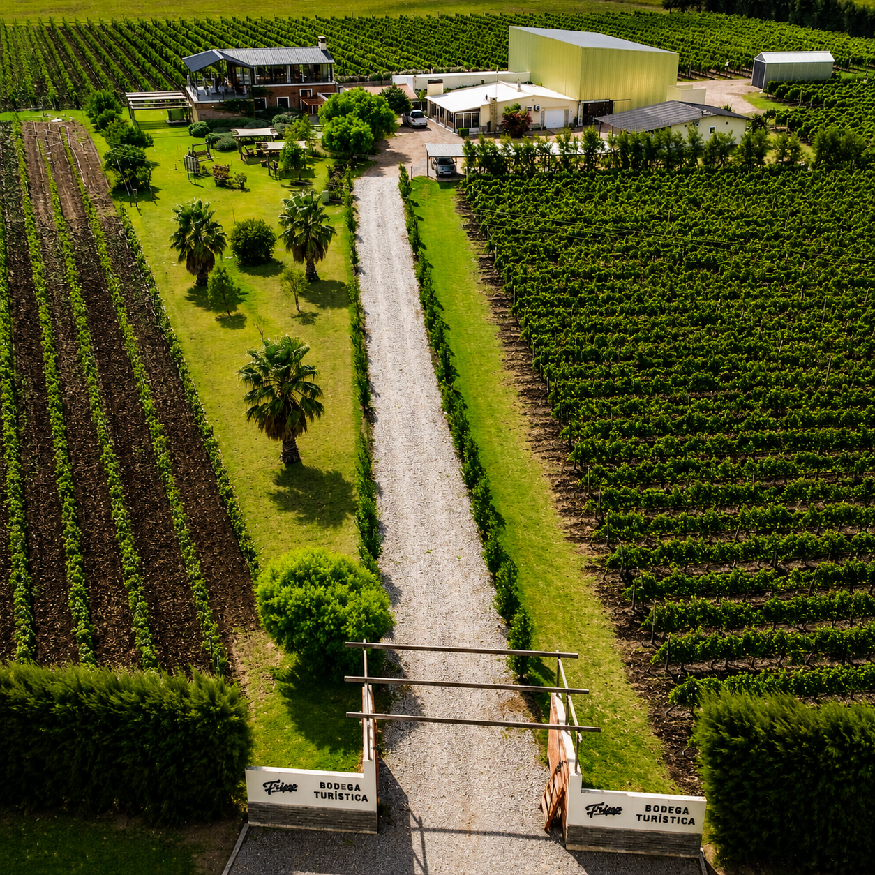 Bodega Fripp – Colonia Uruguay