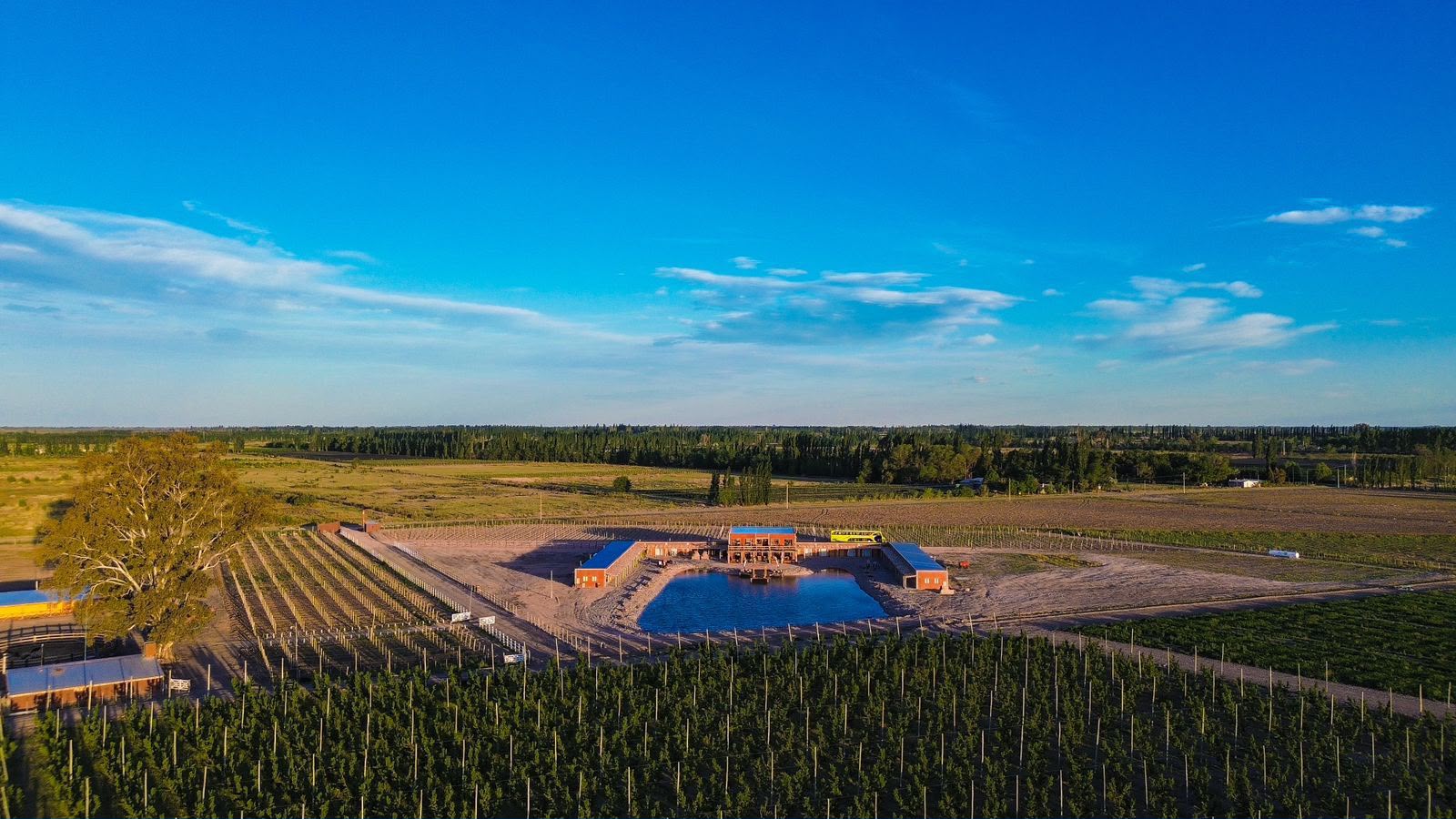 San Rafael La Finca - Verano 2027 - Imagen 5